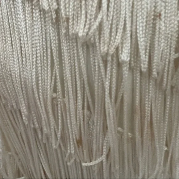 Ivory Fringe Slip Dress - Picture 15 of 16